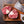 Grass fed beef osso buco (shin on the bone)
