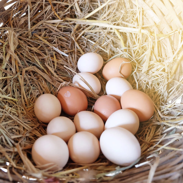 Free Range Hens Eggs from County Down (chilled)