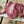 Free range pork kidney